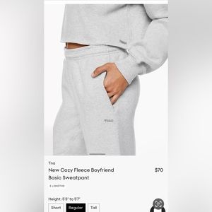Aritzia sweatpants